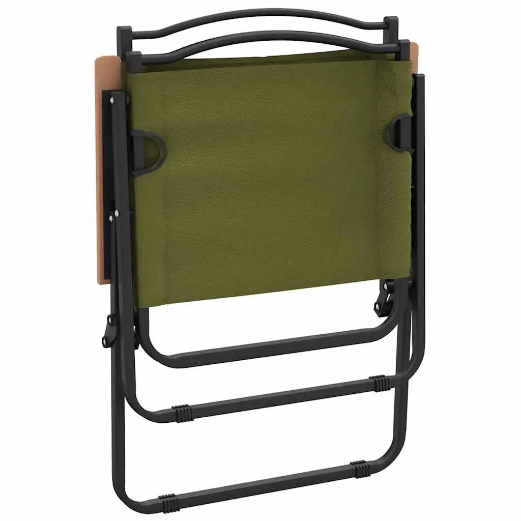 Folding Portable Camping Chair Powder-coated Steel Green Oxford Fabric 2 Piece
