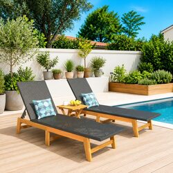 2-Piece Sun Lounger Set for Garden and Pool