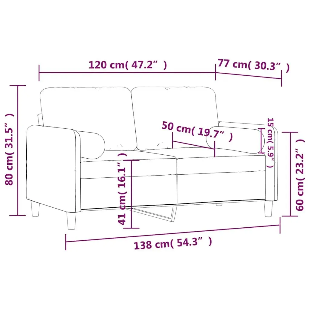 Velvet Upholstered 2-Seater Sofa 120cm Black Modern Lounge Couch with Decorative Throw Pillows
