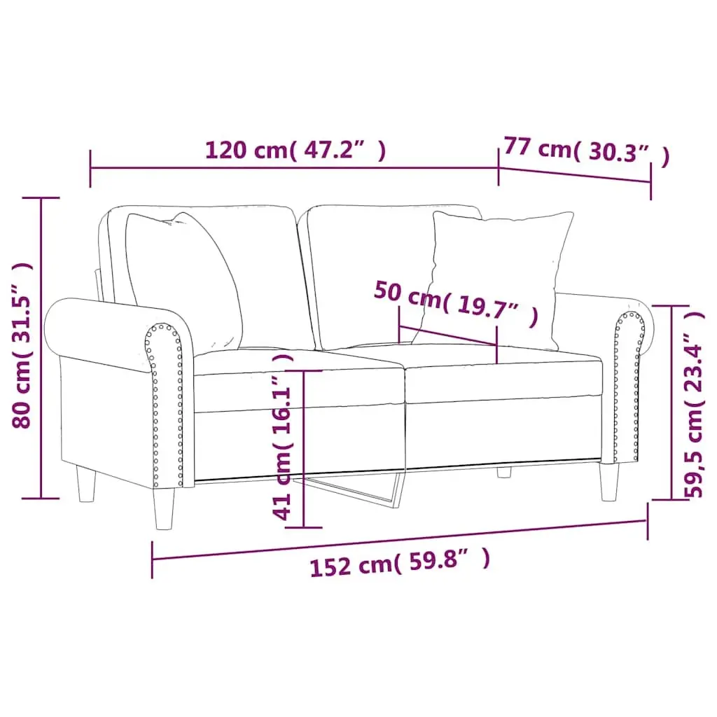 Lounge Couch Black Velvet 120cm 2-Seater Sofa with Decorative Throw Pillows