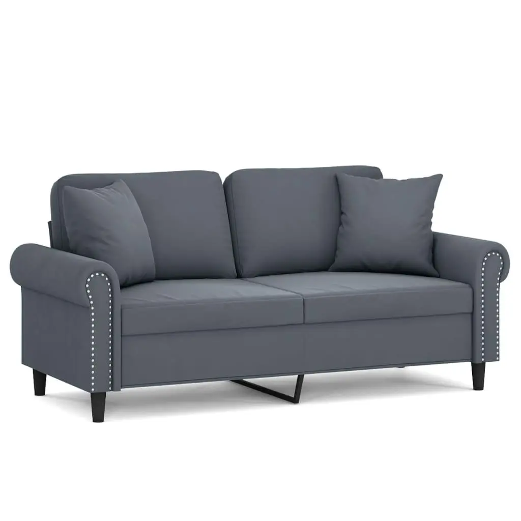 2-Seater Lounge Sofa Modern Grey Velvet Living Room Furniture with Throw Pillows