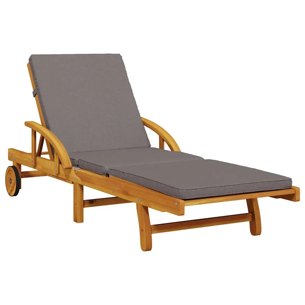 Sun Lounger with Cushion and Storage Table
