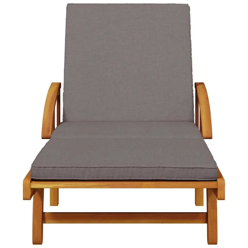 Sun Lounger with Cushion and Storage Table