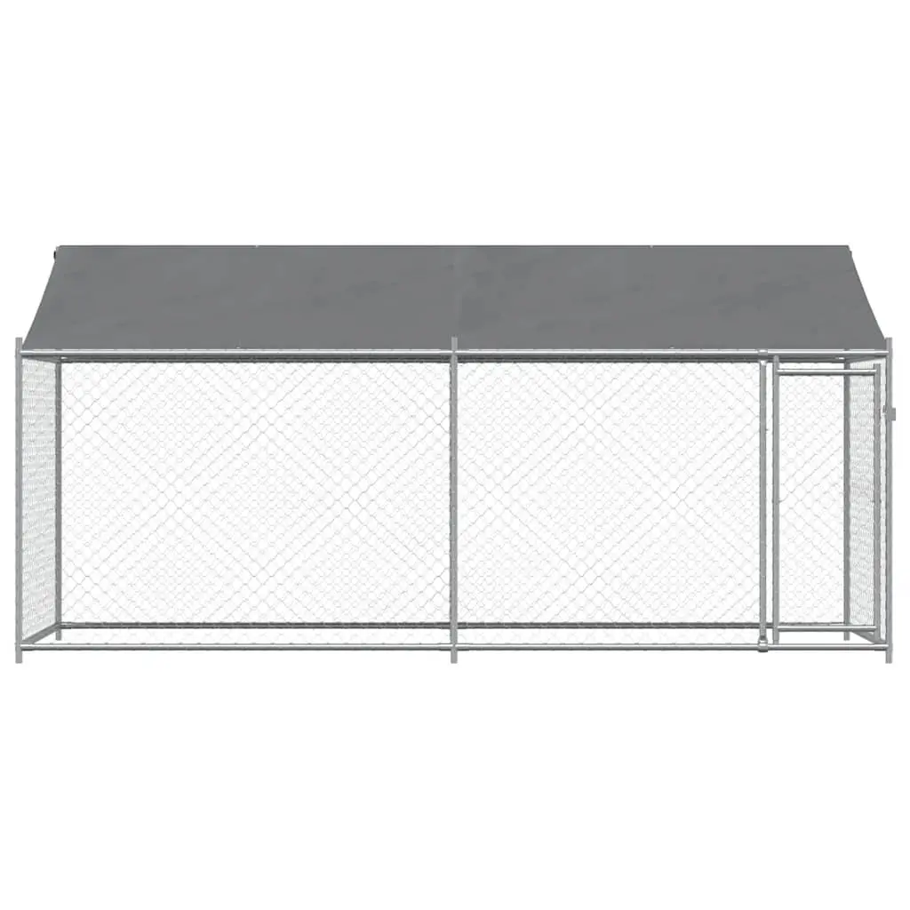 Outdoor Dog Kennel for Play and Training