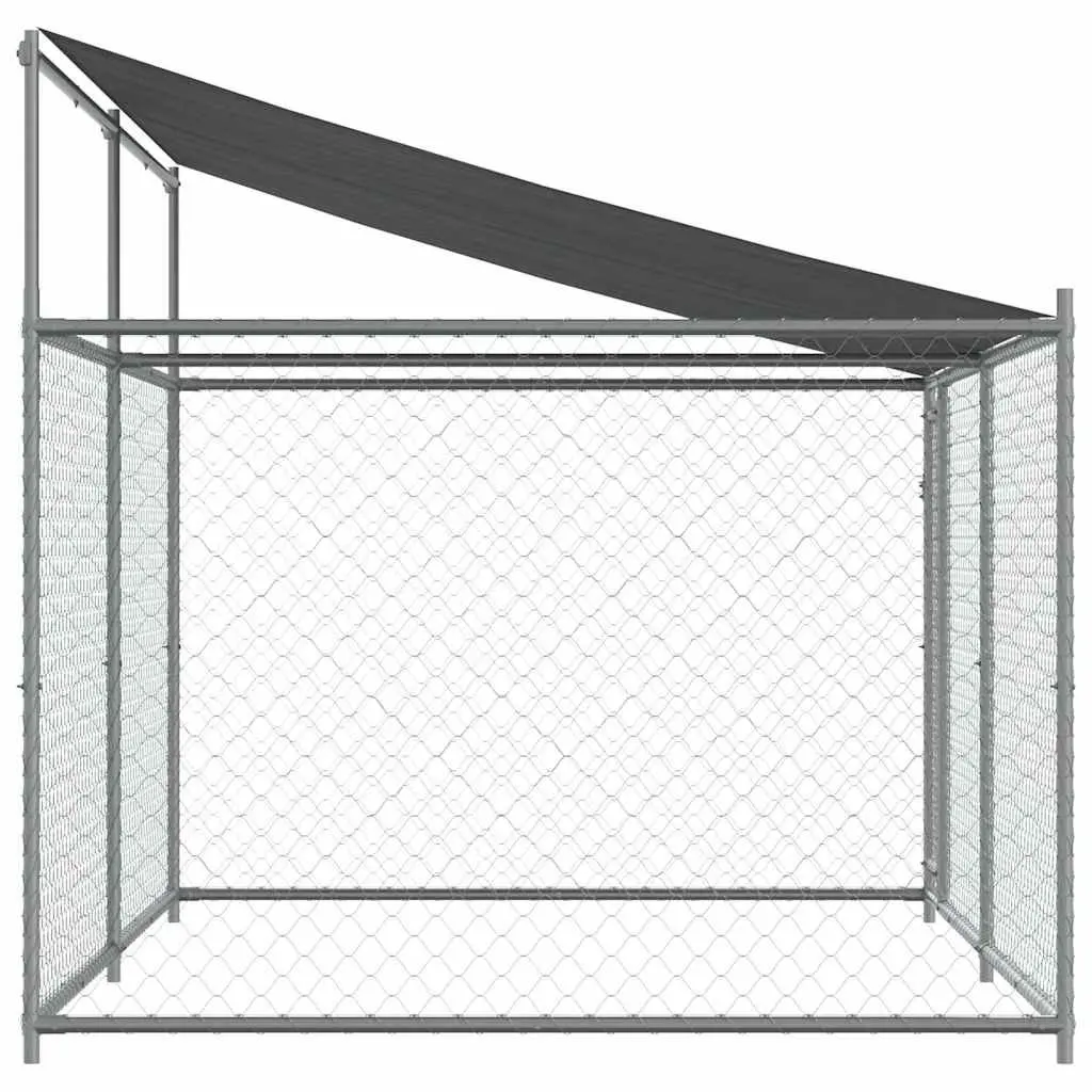 Outdoor Dog Kennel for Play and Training