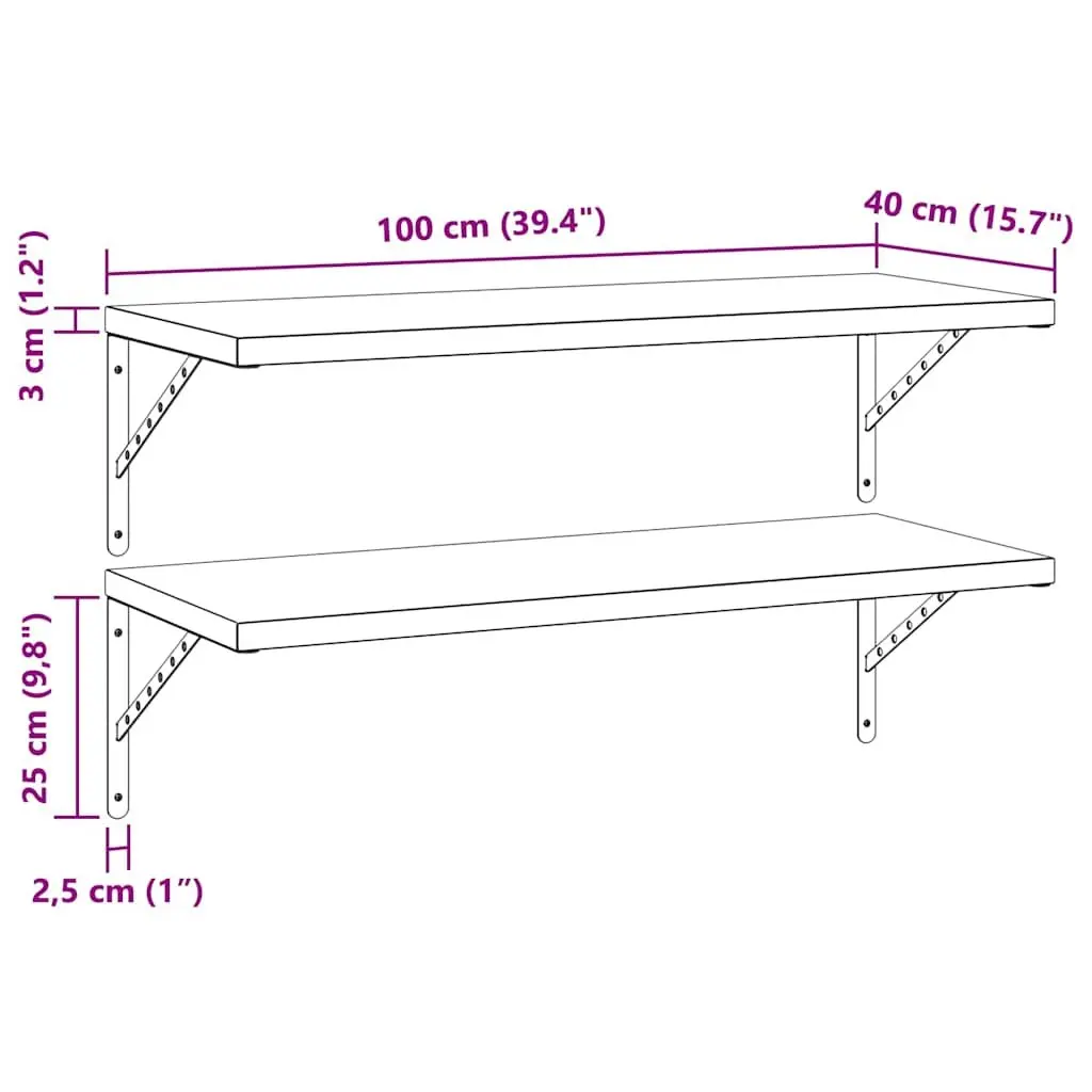 Floating Wall Shelves Stainless Steel 100x40cm Silver 2 Piece Storage Display