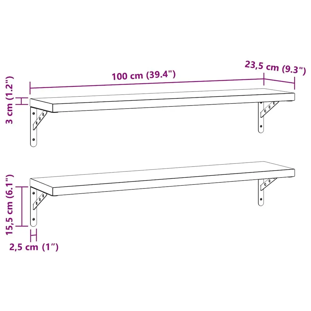 Wall Mounted Shelves Floating Storage Rack Silver Stainless Steel 100cm x 23.5cm Set of 2