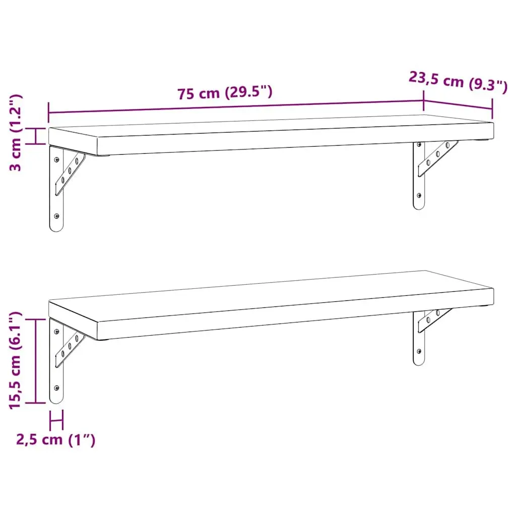 Floating Wall Shelves Storage Rack Stainless Steel 75x23.5 cm Silver 2 Piece