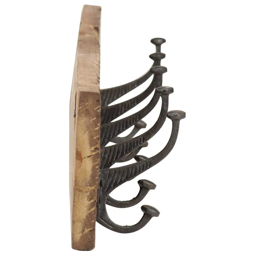 Coat Rack Solid Reclaimed Wood 100 x 15 cm Brown 5 Hooks Home Decor