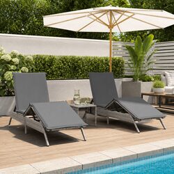 Functional Grey Sun Loungers with Cushions for Your Garden