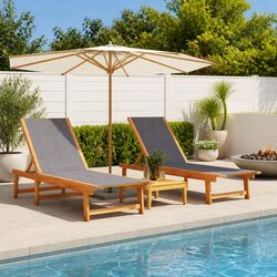 Practical Sun Loungers 2 pcs for Any Outdoor Setting