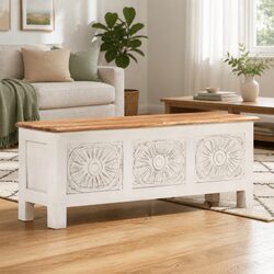 Practical Storage Chest for Everyday Use
