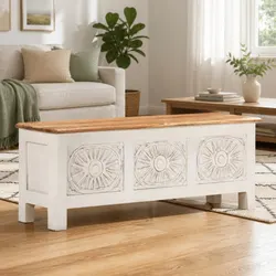 Practical Storage Chest for Everyday Use