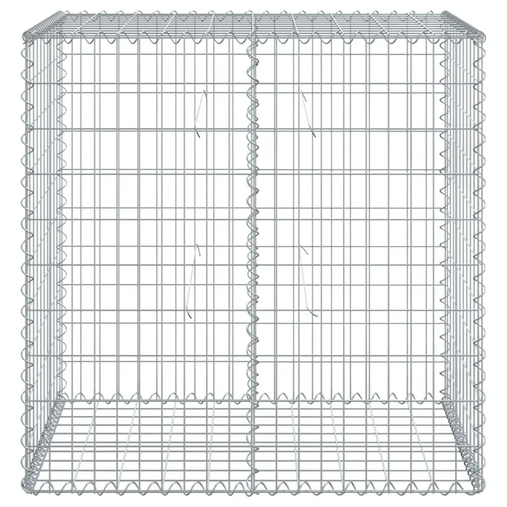 Gabion Basket Galvanised Iron Wire 100x50x100 cm Silver Outdoor Garden Landscaping