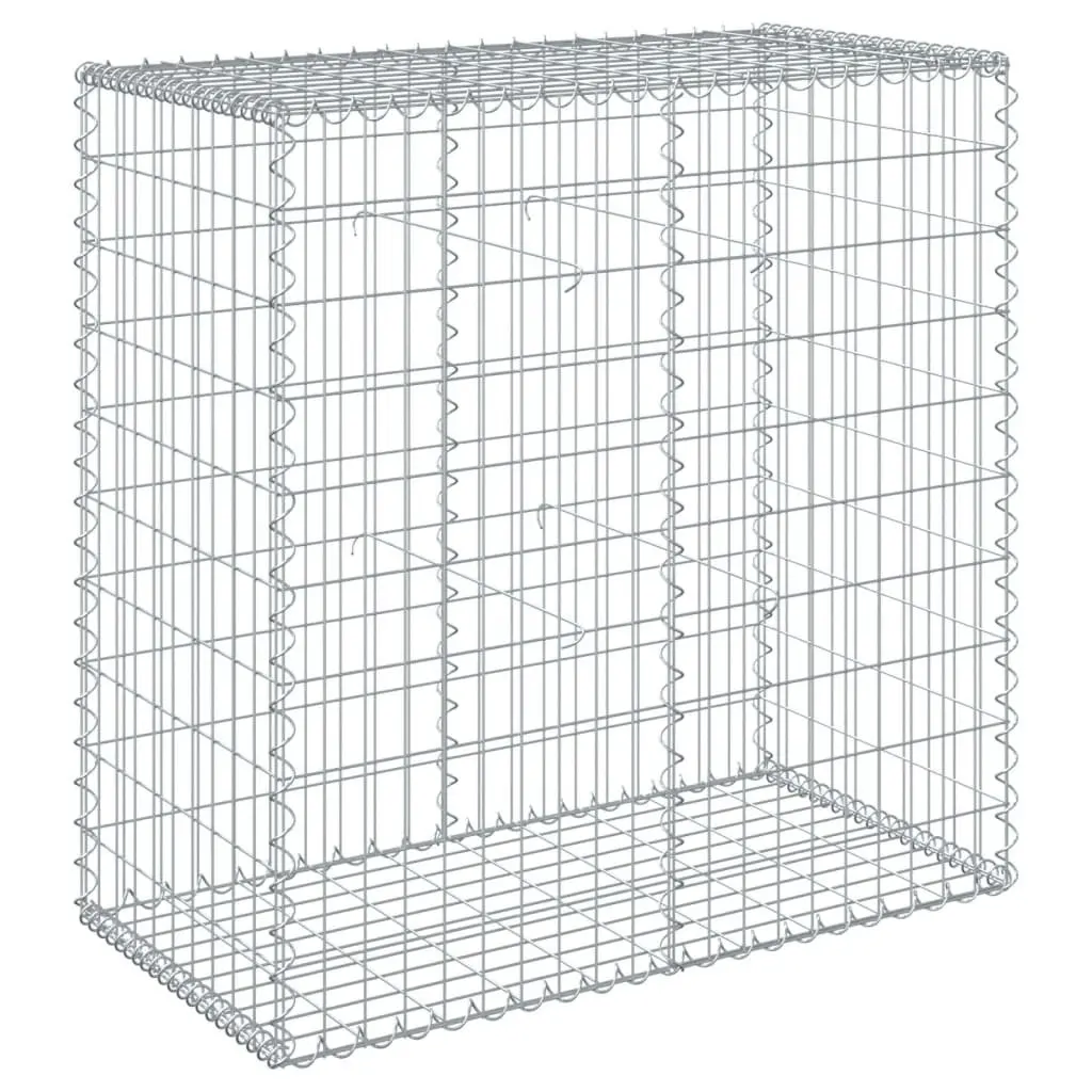 Gabion Basket Galvanised Iron Wire 100x50x100 cm Silver Outdoor Garden Landscaping