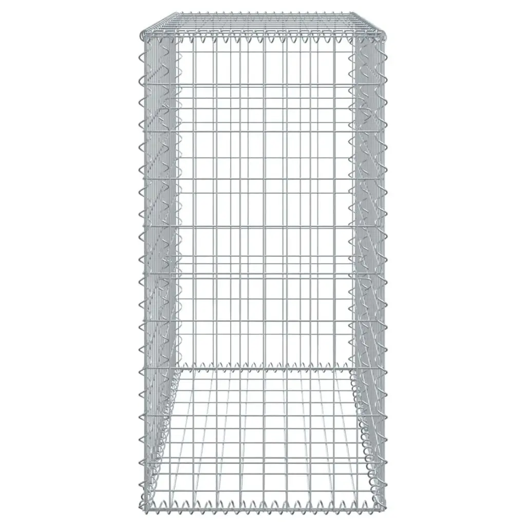 Gabion Basket Galvanised Iron Wire 100x50x100 cm Silver Outdoor Garden Landscaping