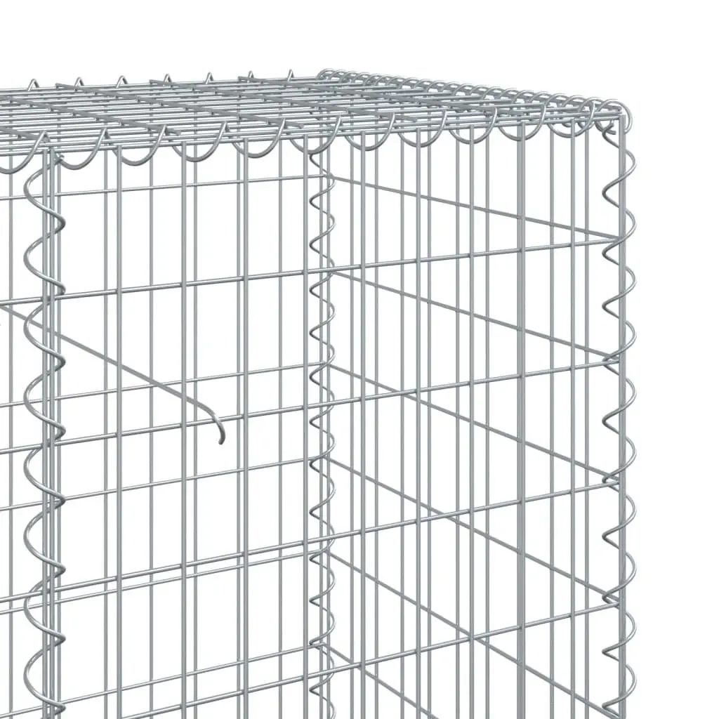 Gabion Basket Galvanised Iron Wire 100x50x100 cm Silver Outdoor Garden Landscaping