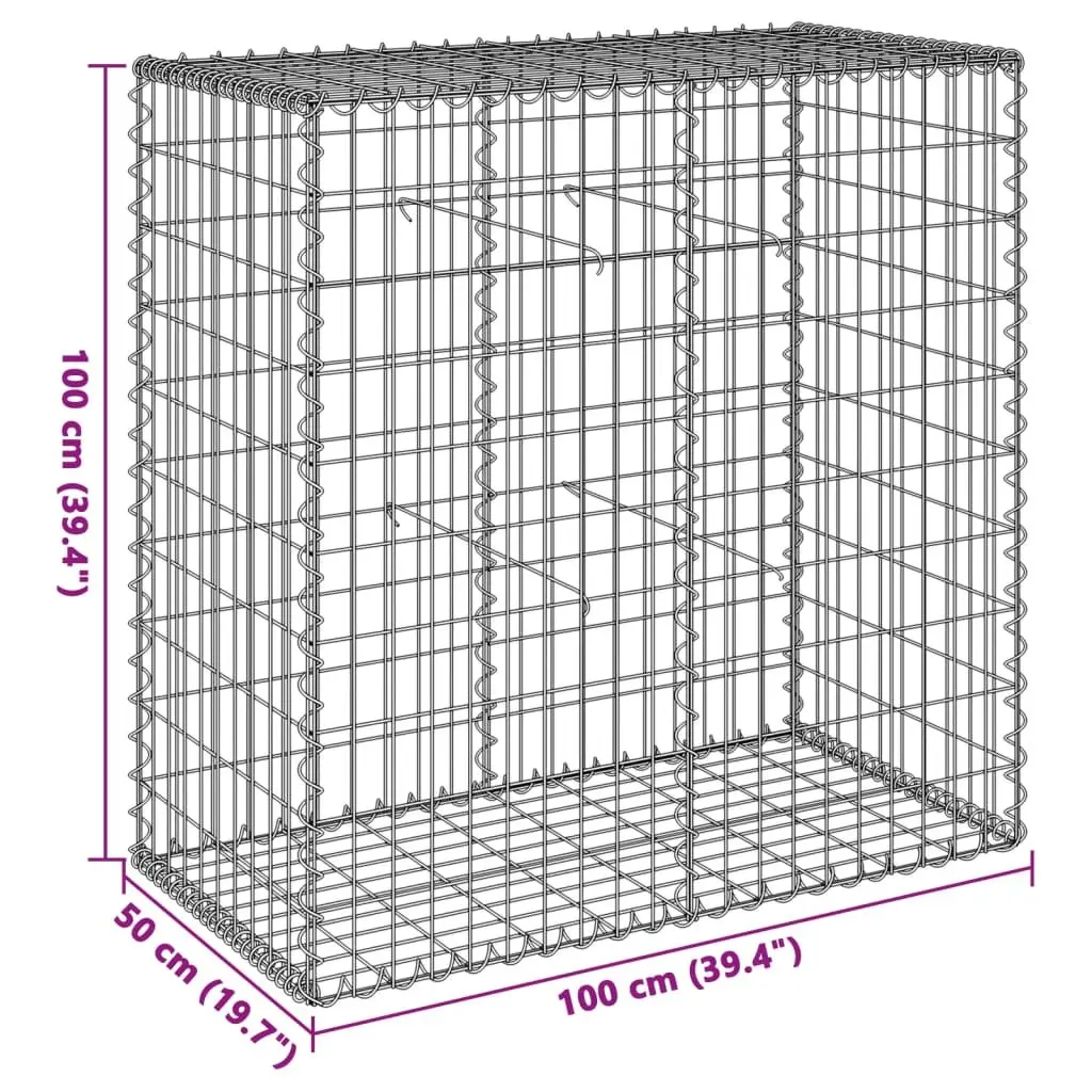Gabion Basket Galvanised Iron Wire 100x50x100 cm Silver Outdoor Garden Landscaping