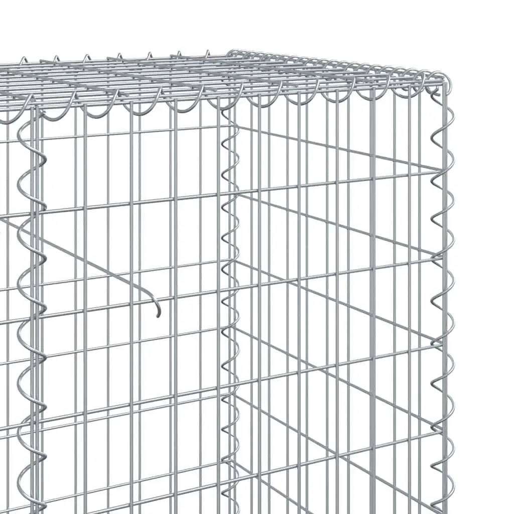 Gabion Basket Galvanised Iron Wire 1100x50x100 cm Silver