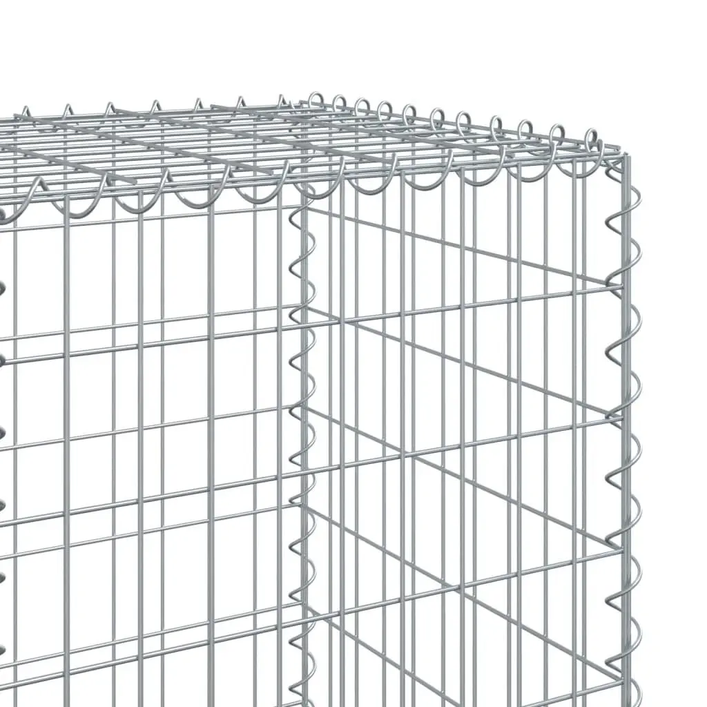 Gabion Basket Silver Galvanised Iron Wire 200x50x150 cm Garden Retaining