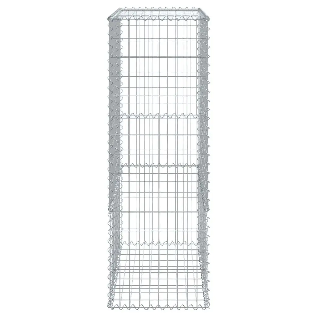 Gabion Basket Galvanised Iron 300x50x150cm with Cover for Landscaping and Outdoor Decor