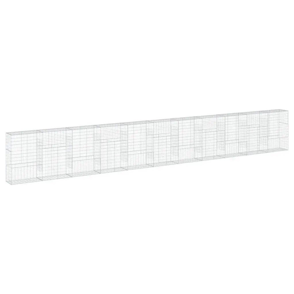 Gabion Basket Silver Galvanised Iron Wire 1100x50x150 cm with Cover