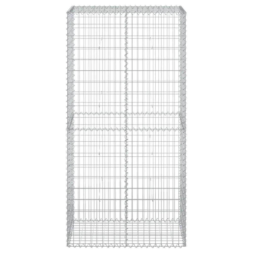 Gabion Basket Galvanised Iron Wire 100x50x200cm with Cover Silver for Garden Landscaping Retaining Wall