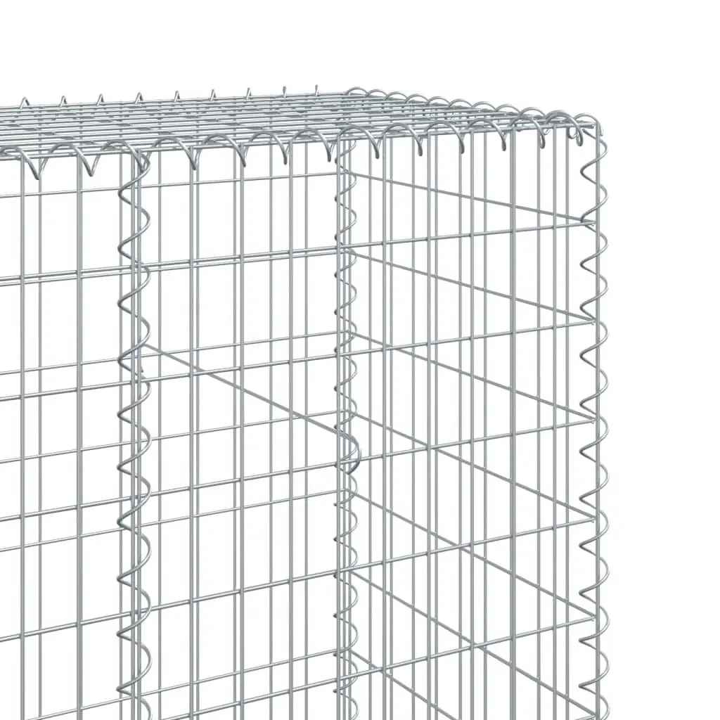 Gabion Basket Galvanised Iron Wire 100x50x200cm with Cover Silver for Garden Landscaping Retaining Wall