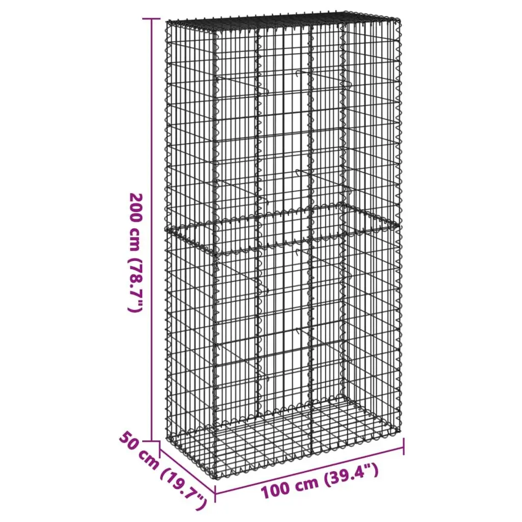 Gabion Basket Galvanised Iron Wire 100x50x200cm with Cover Silver for Garden Landscaping Retaining Wall