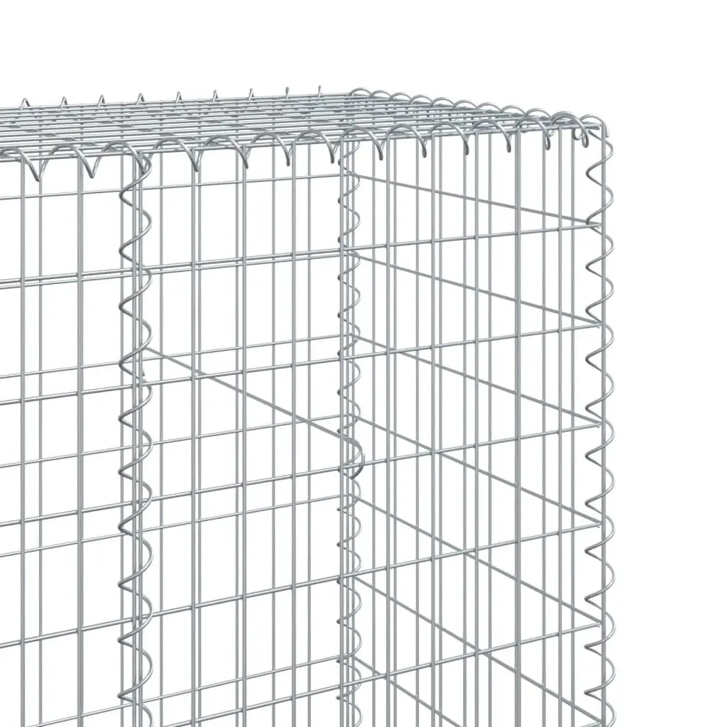 Gabion Basket Galvanised Iron Wire 1100x50x200 cm Silver