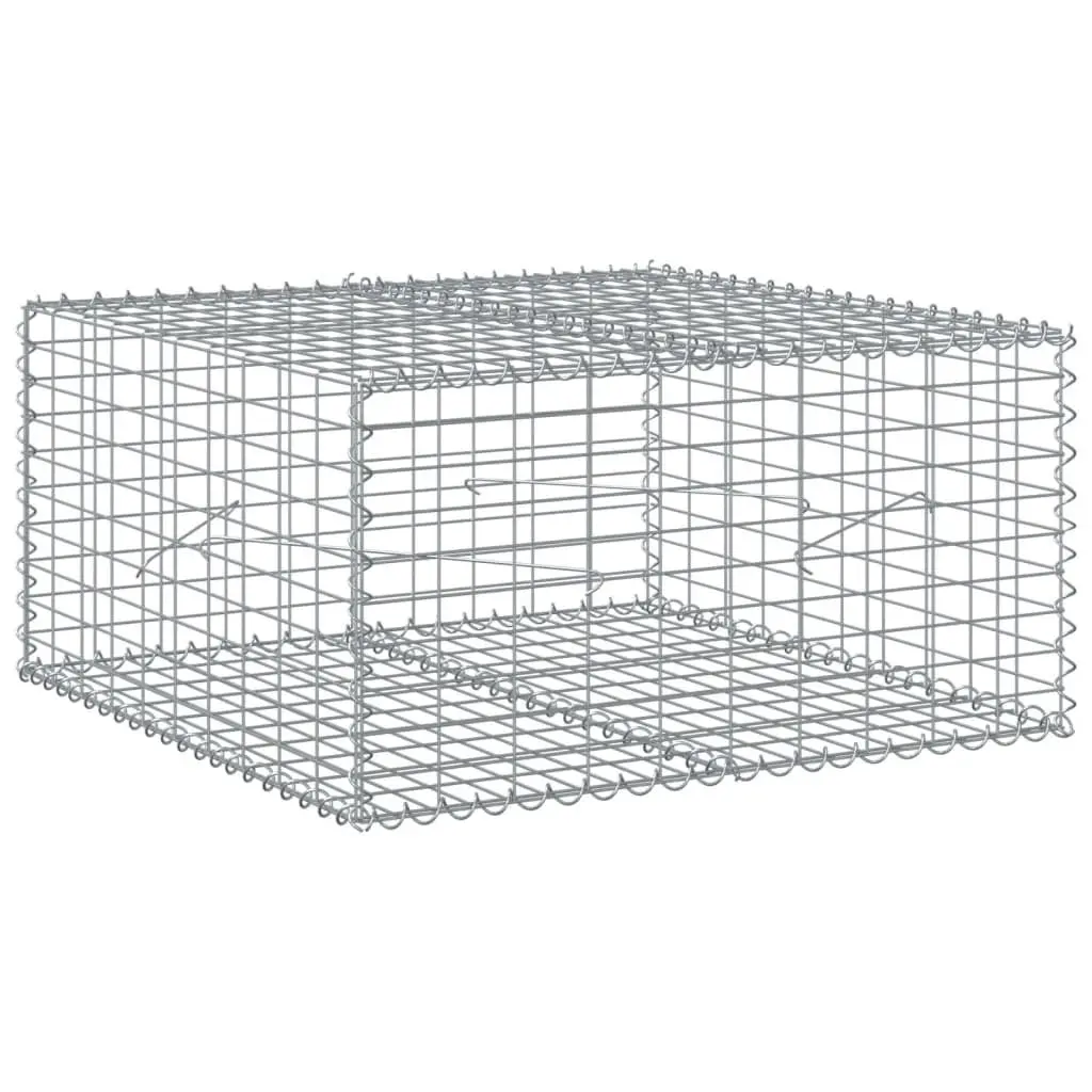 Gabion Basket Silver Galvanised Iron Wire 100x100x50 cm with Cover for Garden Landscaping