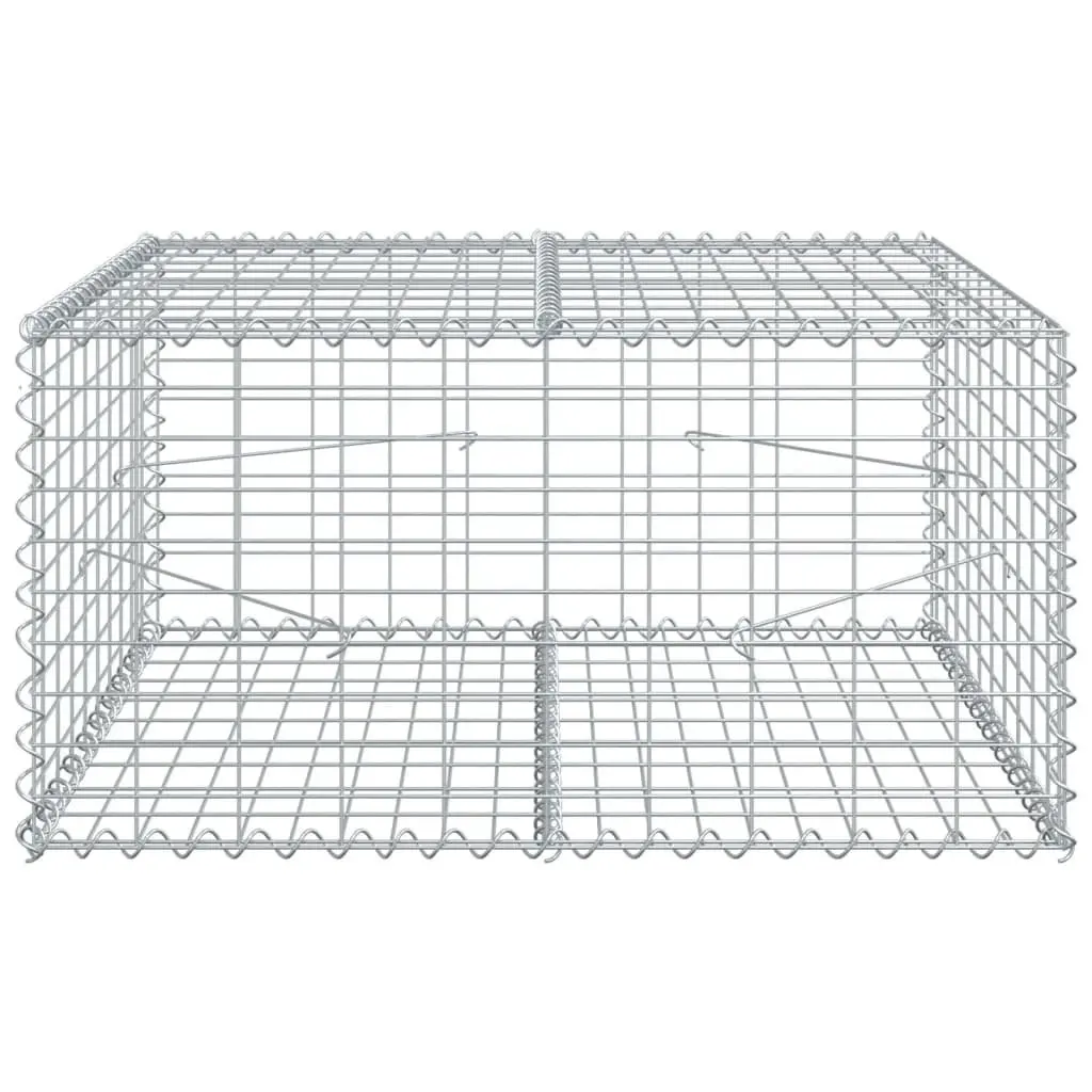 Gabion Basket Silver Galvanised Iron Wire 100x100x50 cm with Cover for Garden Landscaping