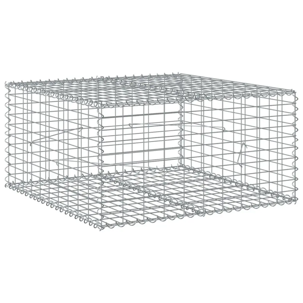 Gabion Basket Silver Galvanised Iron Wire 100x100x50 cm with Cover for Garden Landscaping