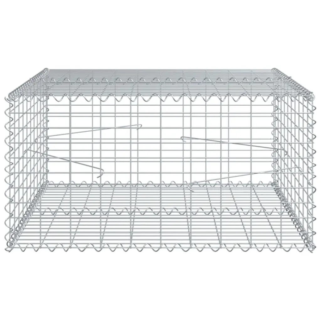 Gabion Basket Silver Galvanised Iron Wire 100x100x50 cm with Cover for Garden Landscaping