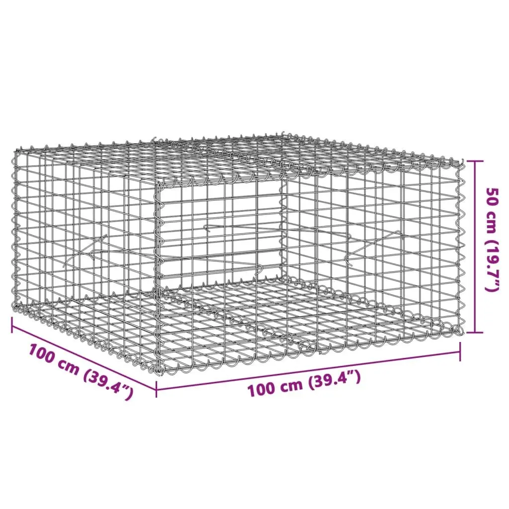Gabion Basket Silver Galvanised Iron Wire 100x100x50 cm with Cover for Garden Landscaping