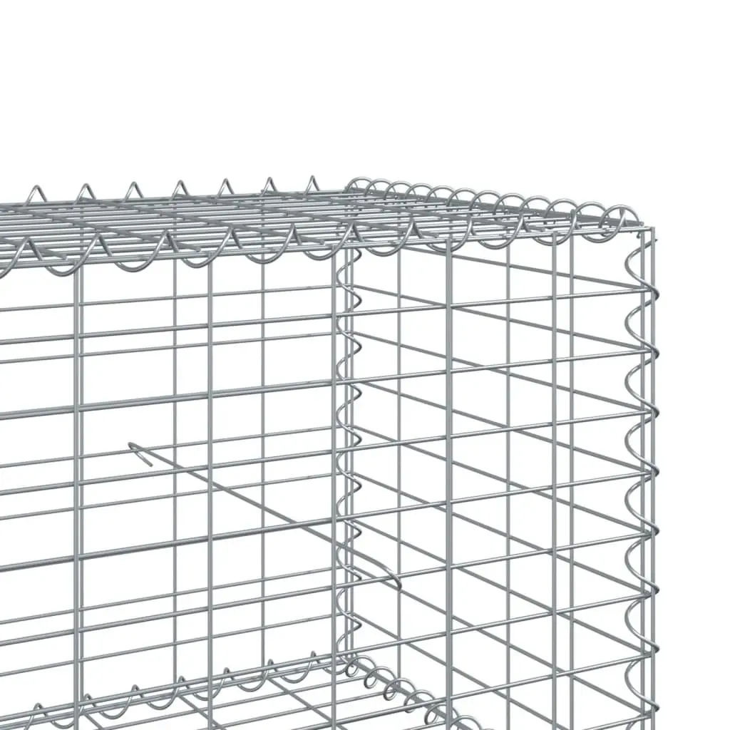Gabion Basket Galvanised Iron 300x100x50 cm Silver Garden Retaining Wall Outdoor Landscaping