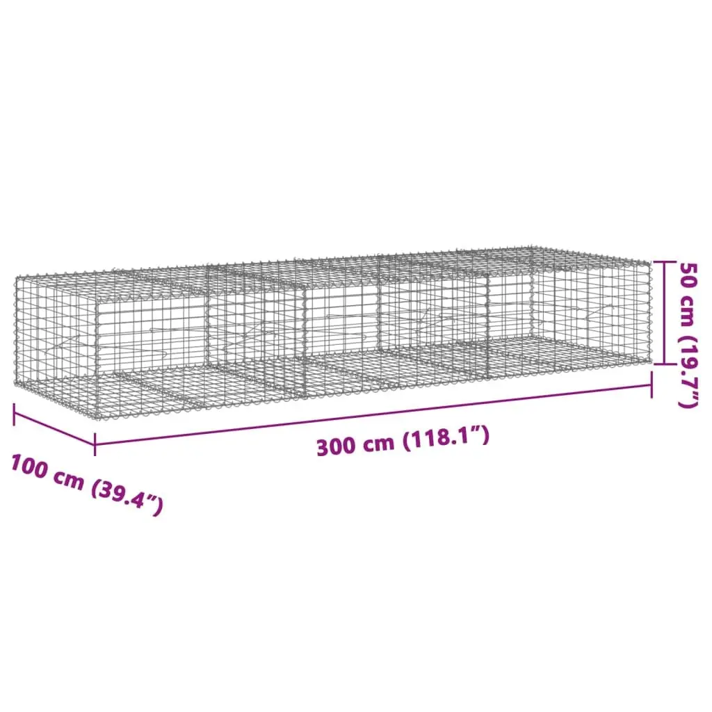 Gabion Basket Galvanised Iron 300x100x50 cm Silver Garden Retaining Wall Outdoor Landscaping