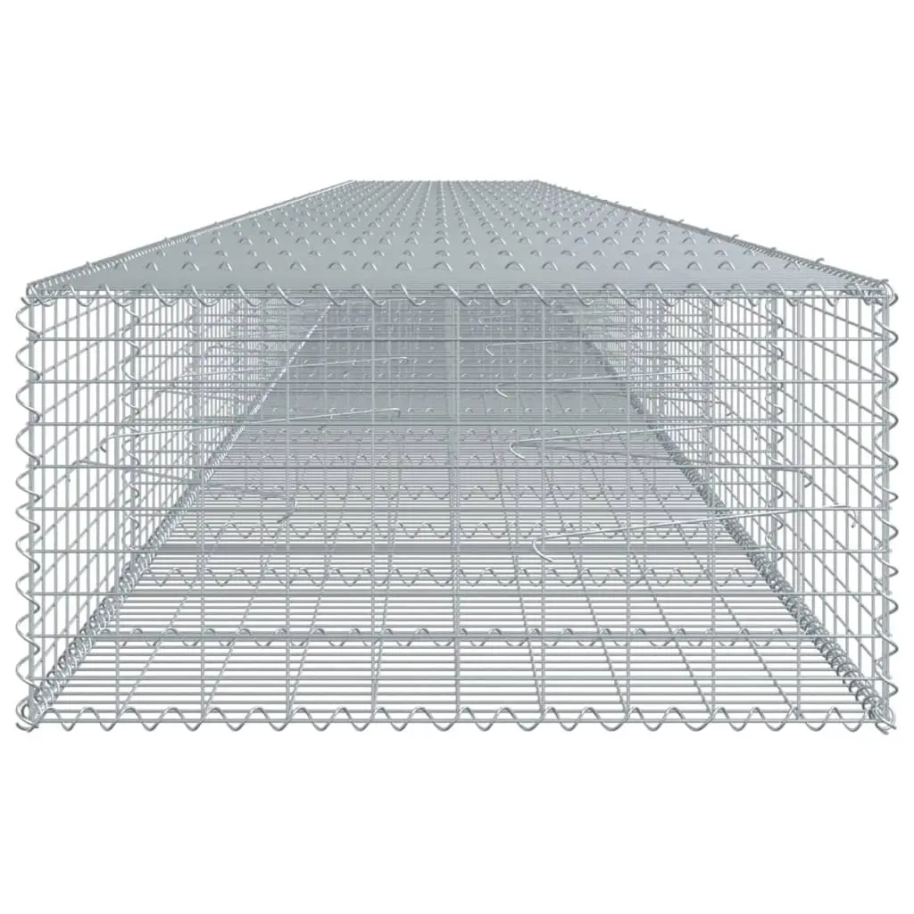Gabion Basket Galvanised Iron 1100x100x50 cm Silver Garden Landscaping Retaining Wall