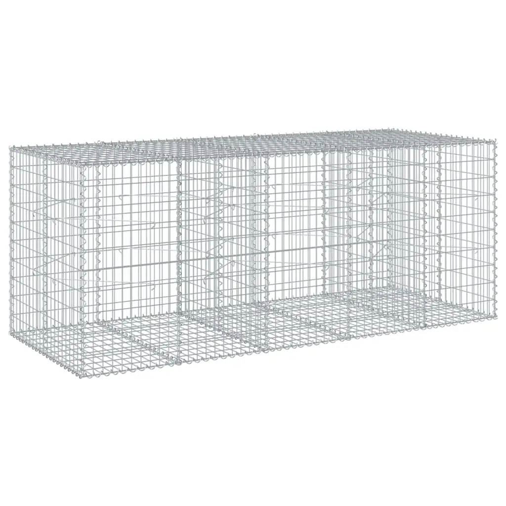 Gabion Basket Galvanised Iron Wire 250x100x100 cm Silver Garden Retaining