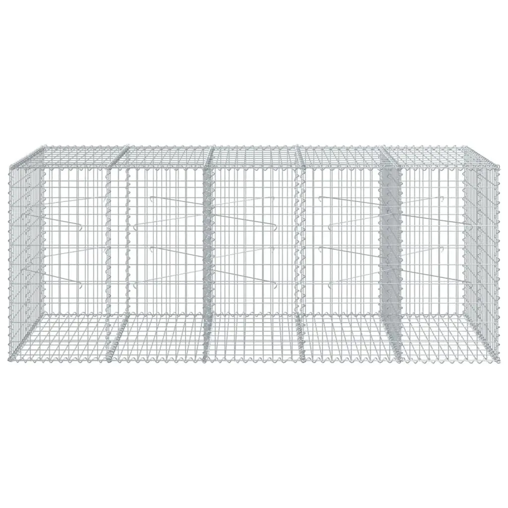 Gabion Basket Galvanised Iron Wire 250x100x100 cm Silver Garden Retaining