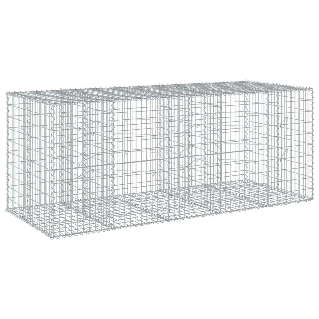 Gabion Basket Galvanised Iron Wire 250x100x100 cm Silver Garden Retaining