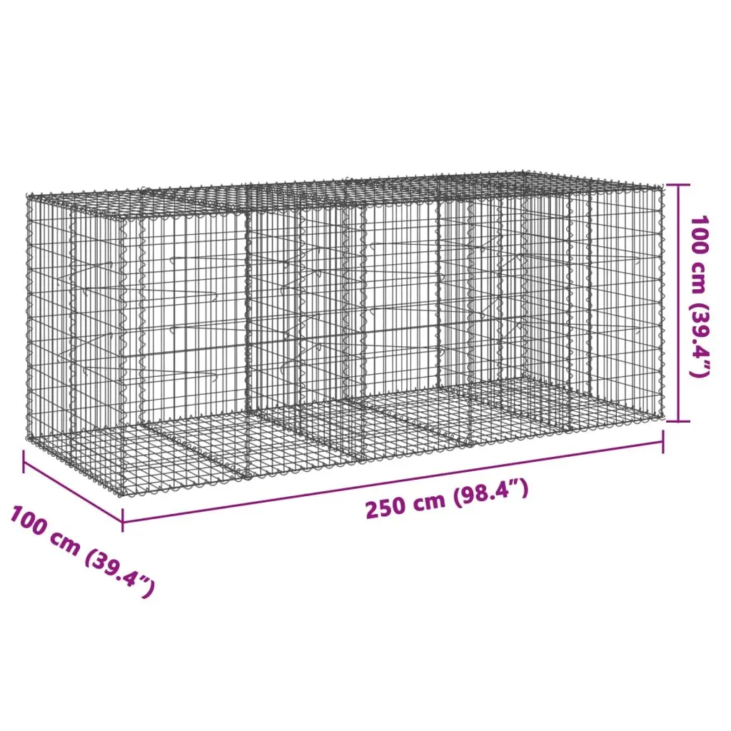 Gabion Basket Galvanised Iron Wire 250x100x100 cm Silver Garden Retaining