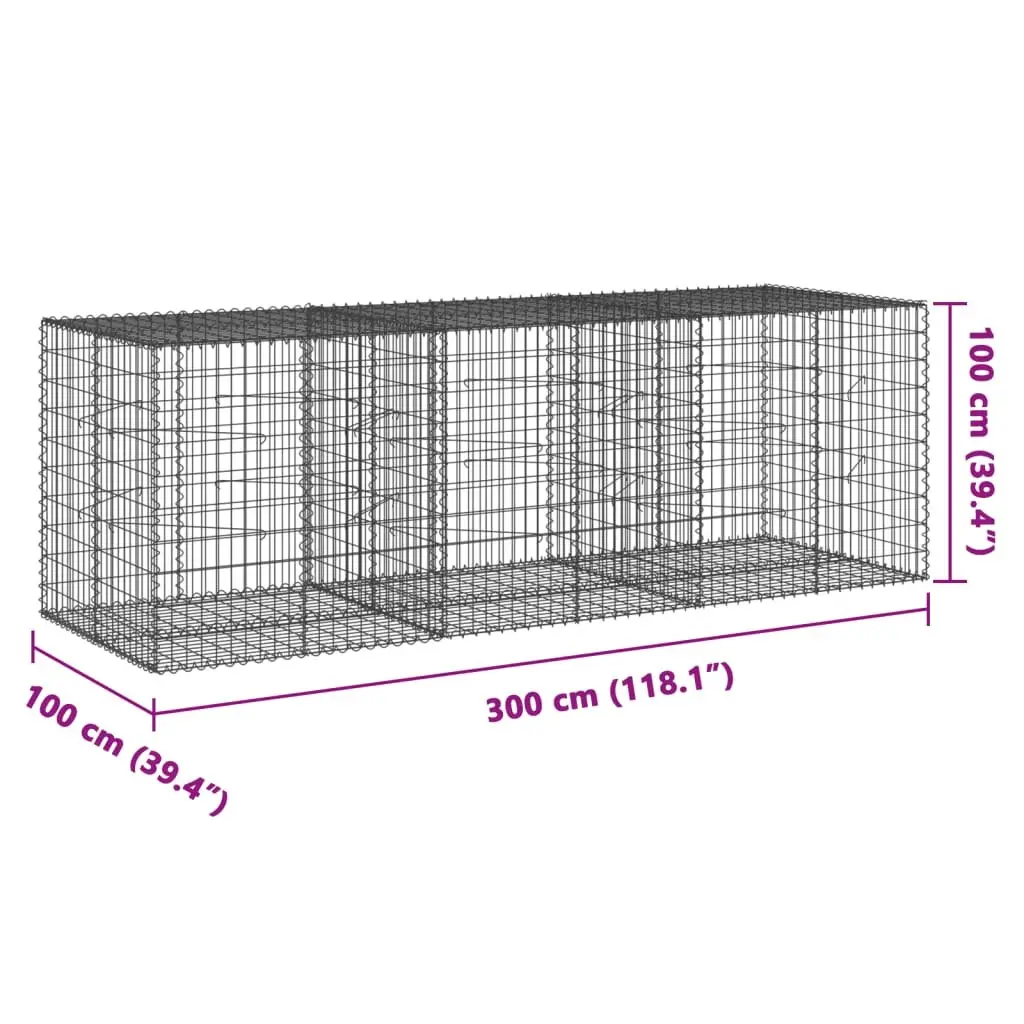Gabion Basket Galvanised Iron Wire 300x100x100 cm Silver Garden Retaining Wall Decorative Cage
