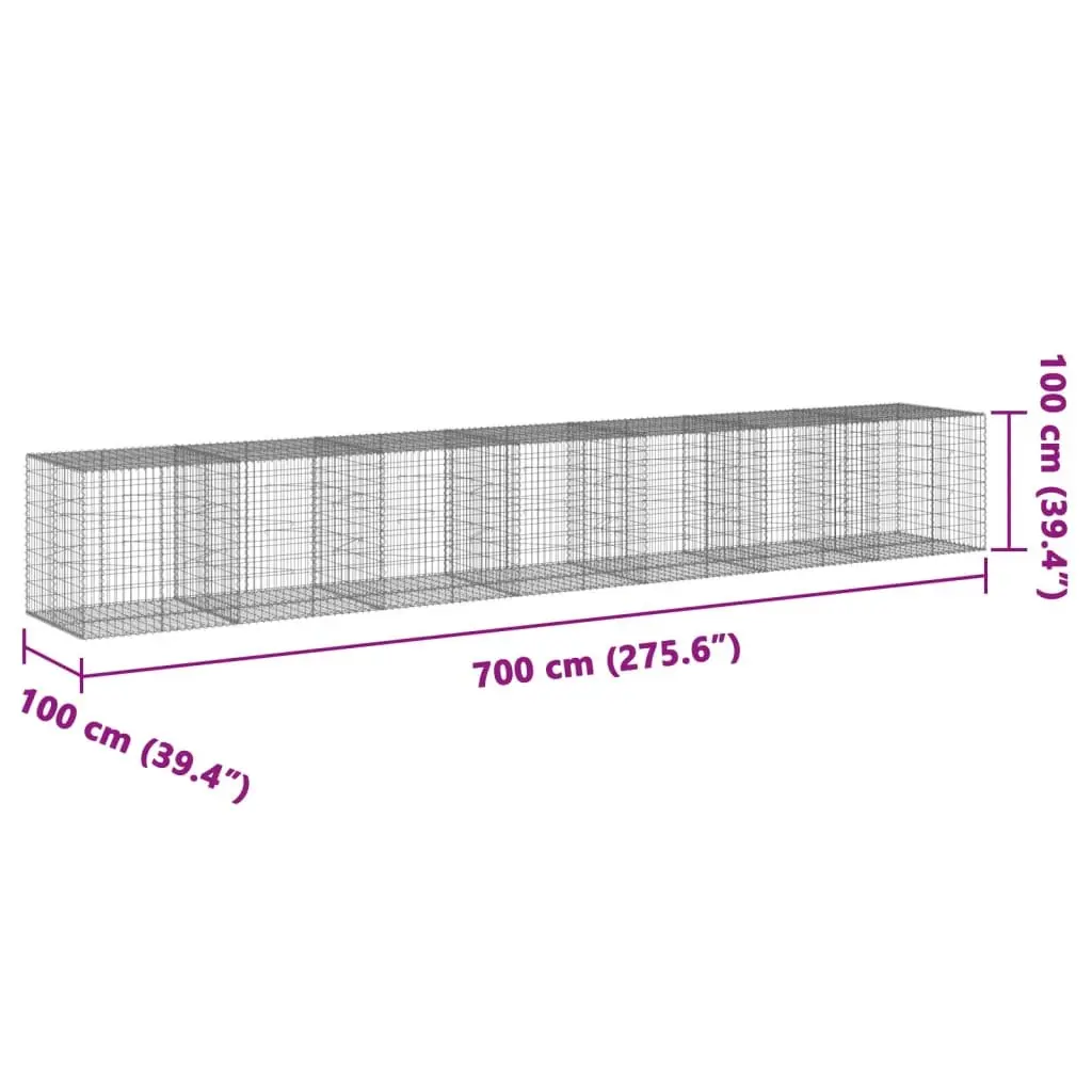 Gabion Basket Galvanised Iron Wire 700x100x100 cm Silver with Cover