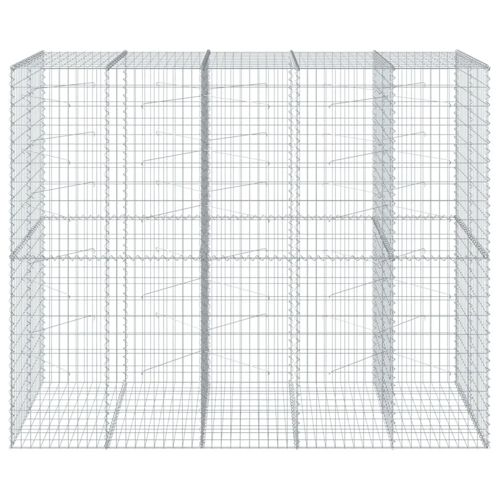 Gabion Basket Galvanised Iron Wire 250x100x200 cm Silver with Cover