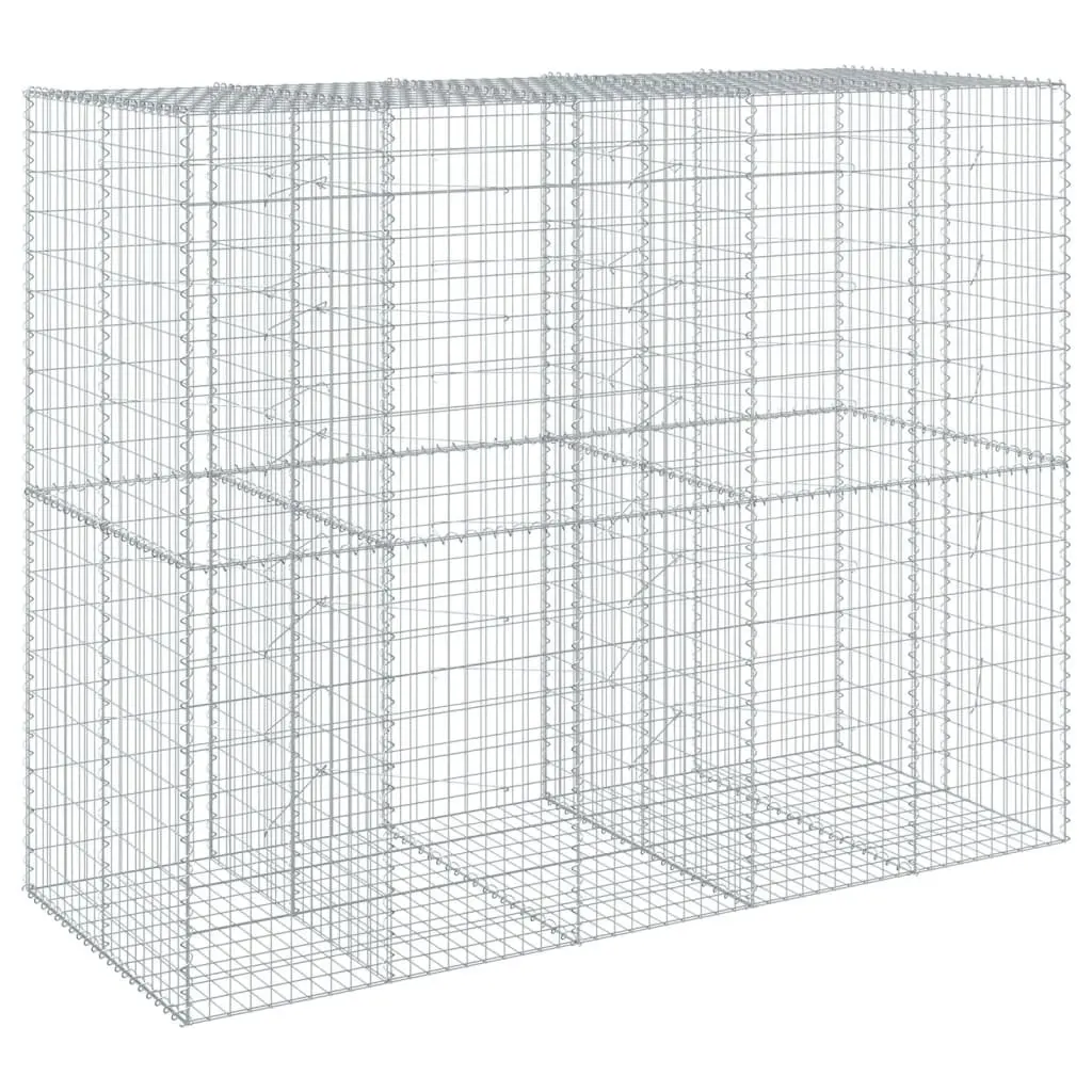Gabion Basket Galvanised Iron Wire 250x100x200 cm Silver with Cover