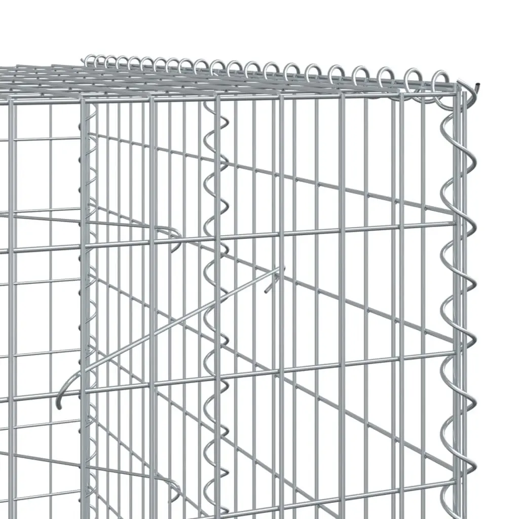 Gabion Basket Galvanised Iron Wire 250x100x200 cm Silver with Cover