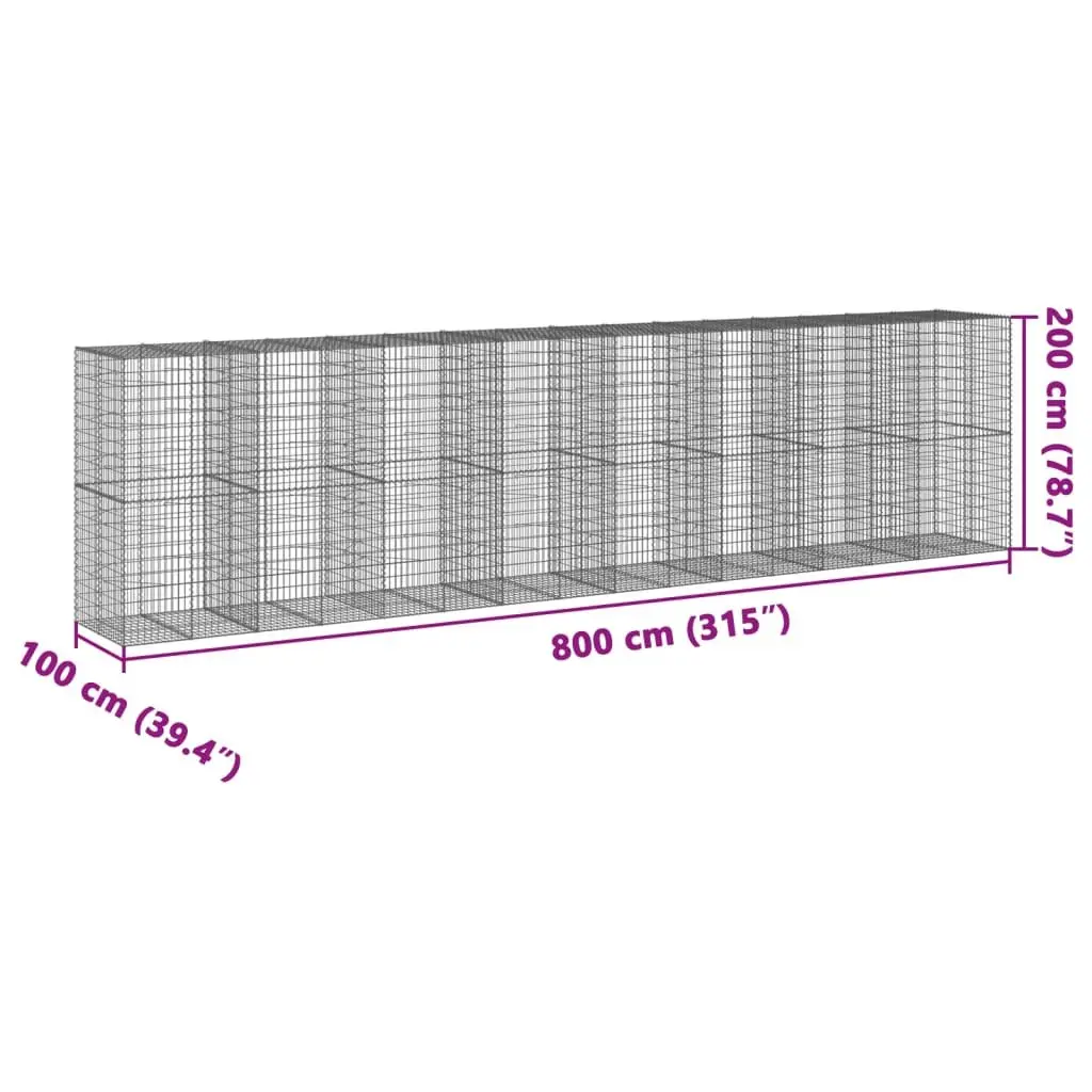 Gabion Basket Silver Galvanised Iron Wire 800x100x200 cm Outdoor Garden