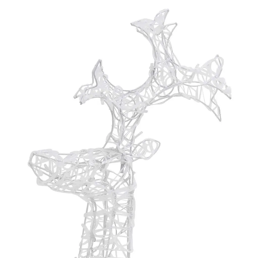 Outdoor Reindeer Christmas Decoration with LED Lights