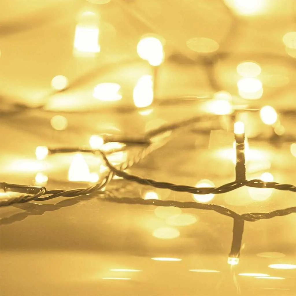 LED String Lights 300 LEDs Warm White 30m Indoor Outdoor Garden Christmas Party